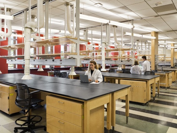 Students working in the laboratory in the Thomas W. Keating Bioresearch Building (BIO5) 