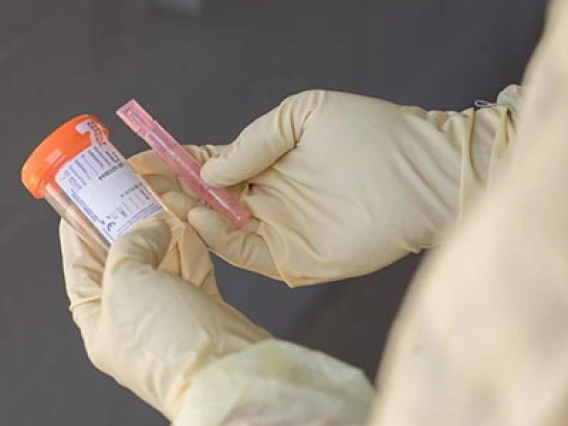 UArizona to Roll Out New COVID-19 Test, Enhanced Requirements in Spring