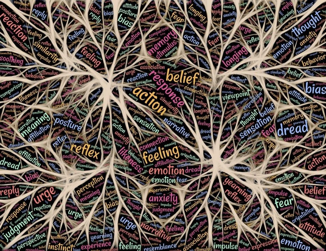 Multitasking Amygdala Neurons Respond to Sights, Sounds, and Touch Multitasking Amygdala Neurons Respond to Sights, Sounds, and Touch