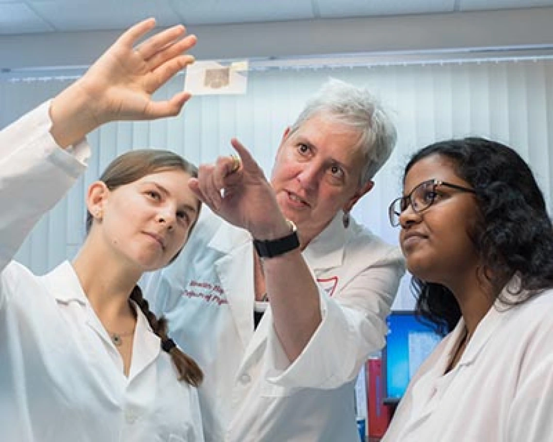 Researchers Prepare First Potential Drug Therapy for Vascular Dementia for Clinical Trials Researchers Prepare First Potential Drug Therapy for Vascular Dementia for Clinical Trials