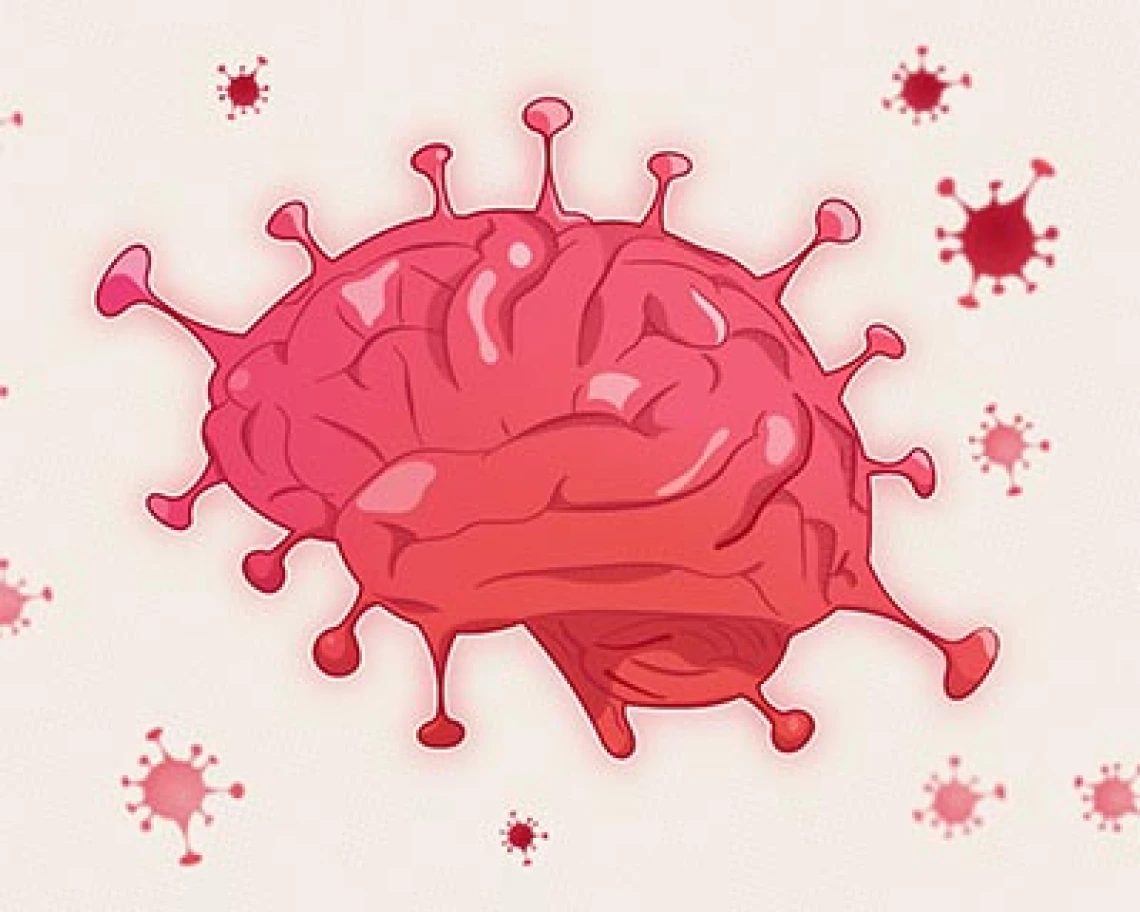 UArizona Researchers Investigate How COVID-19 Impacts the Brain UArizona Researchers Investigate How COVID-19 Impacts the Brain
