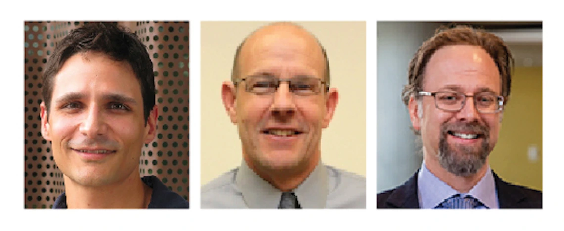 Physiology Professor Among UArizona Researchers Pivoting to Tackle COVID-19